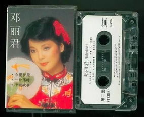 河南人 關(guān)于那些年,我流淚了 你的回憶,咋樣呢